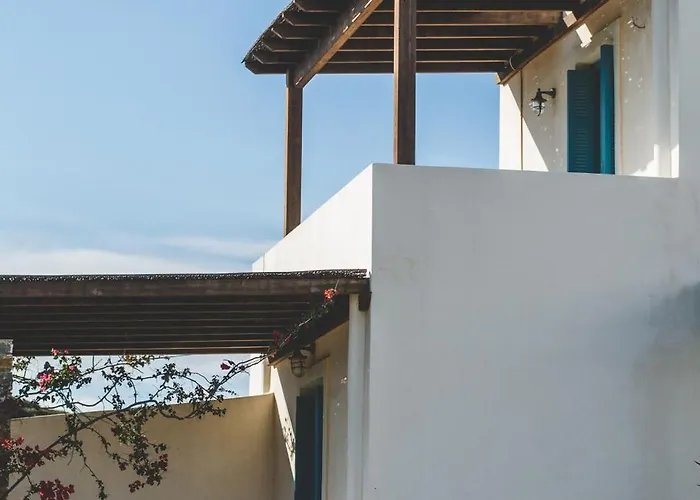 Andros Maisonettes Willa *