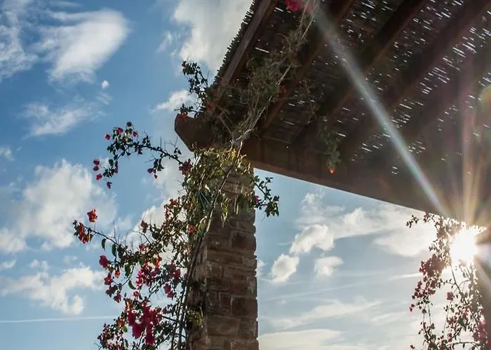 Andros Maisonettes Willa Áyios Pétros